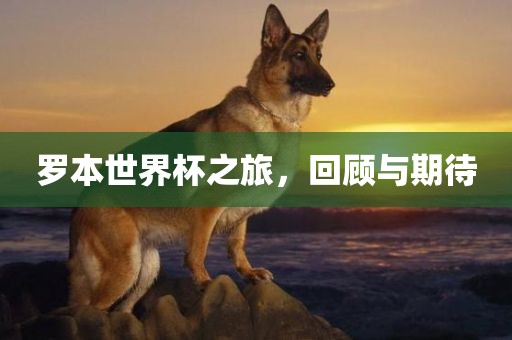 罗本世界杯之旅，回顾与期待
