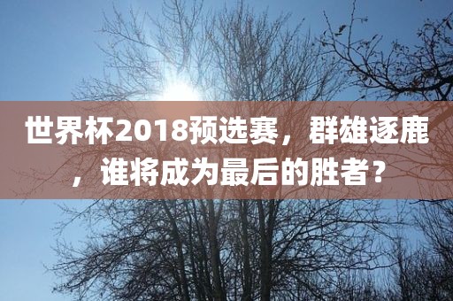 世界杯2018预选赛，群雄逐鹿，谁将成为最后的胜者？