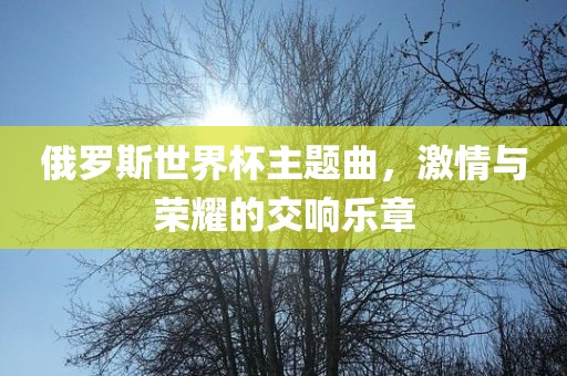 俄罗斯世界杯主题曲，激情与荣耀的交响乐章