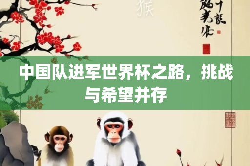 中国队进军世界杯之路，挑战与希望并存漯河市盈旭机械设备有限公司