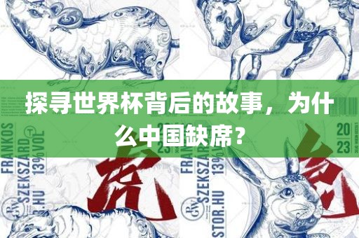 探寻世界杯背后的故事，为什么中国缺席？