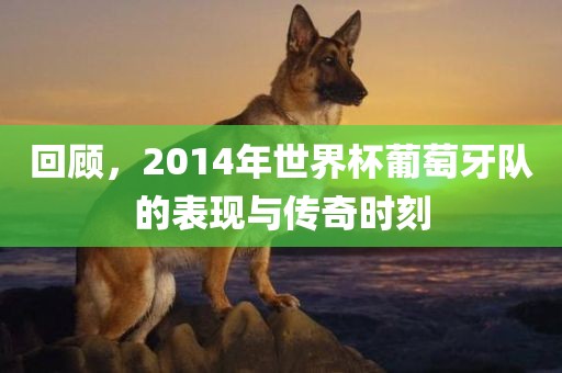回顾，2014年世界杯葡萄牙队的表现与传奇时刻漯河市盈旭机械设备有限公司