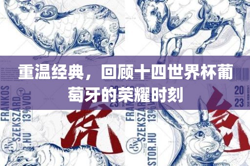 重温经典，回顾十四世界杯葡萄牙的荣耀时刻漯河市盈旭机械设备有限公司