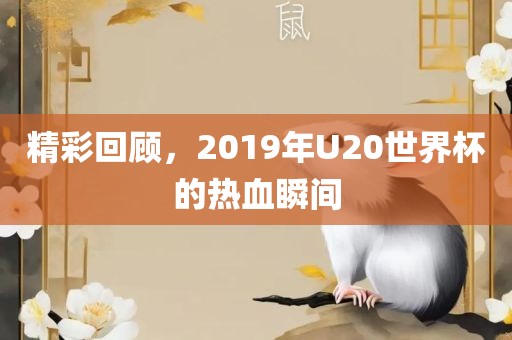 精彩回顾，2019年U20世界杯的热血瞬间