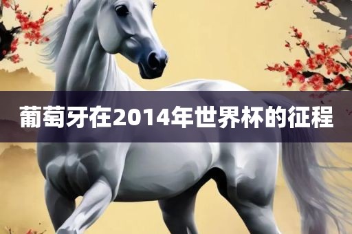 葡萄牙在2014年世界杯的征程