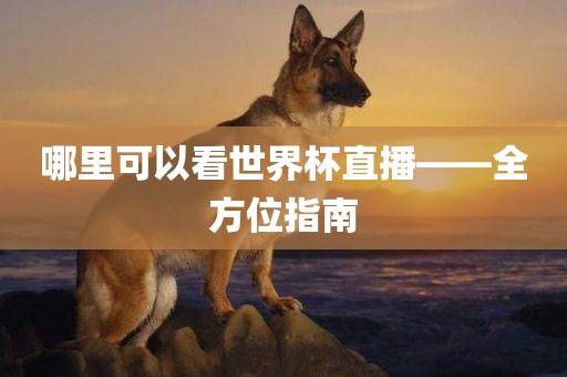 哪里可以看世界杯直播——全方位指南