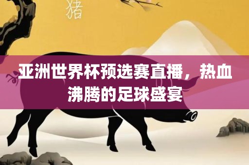 亚洲世界杯预选赛直播，热血沸腾的足球盛宴