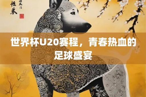 世界杯U20赛程，青春热血的足球盛宴