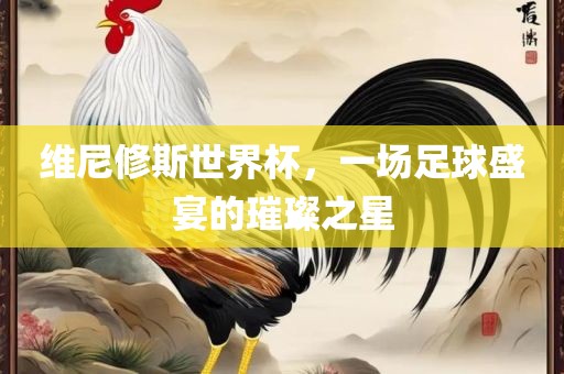 维尼修斯世界杯，一场足球盛宴的璀璨之星