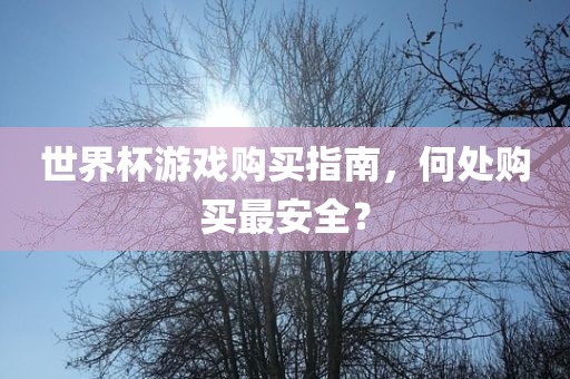 世界杯游戏购买指南，何处购买最安全？