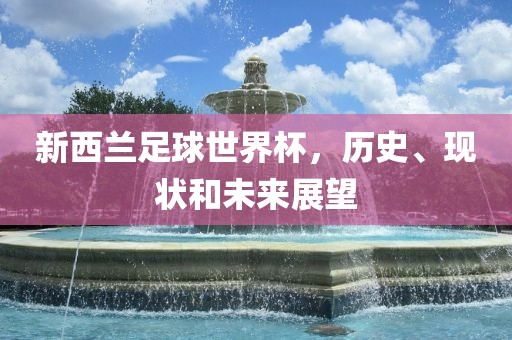 新西兰足球世界杯，历史、现状和未来展望