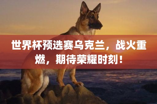 世界杯预选赛乌克兰，战火重燃，期待荣耀时刻！