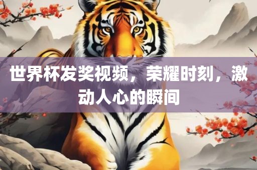 世界杯发奖视频，荣耀时刻，激动人心的瞬间