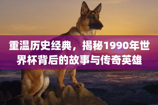 重温历史经典，揭秘1990年世界杯背后的故事与传奇英雄