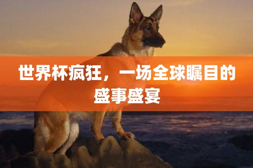 世界杯疯狂，一场全球瞩目的盛事盛宴漯河市盈旭机械设备有限公司