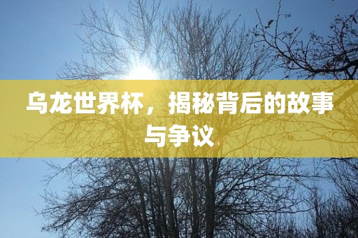乌龙世界杯，揭秘背后的故事与争议漯河市盈旭机械设备有限公司