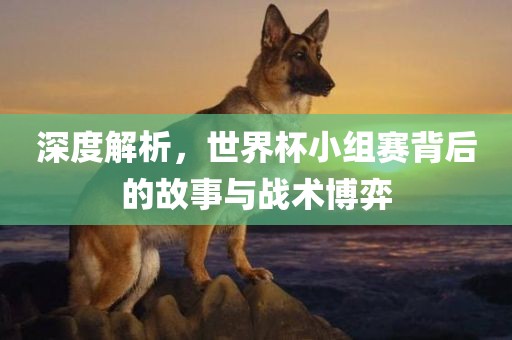 深度解析，世界杯小组赛背后的故事与战术博弈漯河市盈旭机械设备有限公司