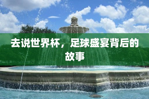去说世界杯，足球盛宴背后的故事漯河市盈旭机械设备有限公司