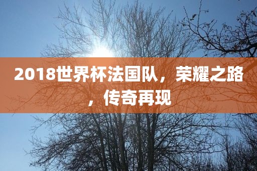 2018世界杯法国队，荣耀之路，传奇再现