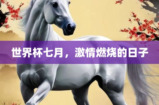 世界杯七月，激情燃烧的日子