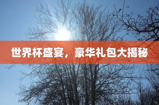 世界杯盛宴，豪华礼包大揭秘