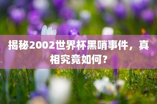 揭秘2002世界杯黑哨事件，真相究竟如何？