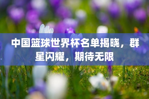 中国篮球世界杯名单揭晓，群星闪耀，期待无限