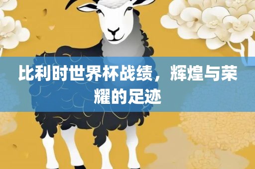 比利时世界杯战绩，辉煌与荣耀的足迹漯河市盈旭机械设备有限公司
