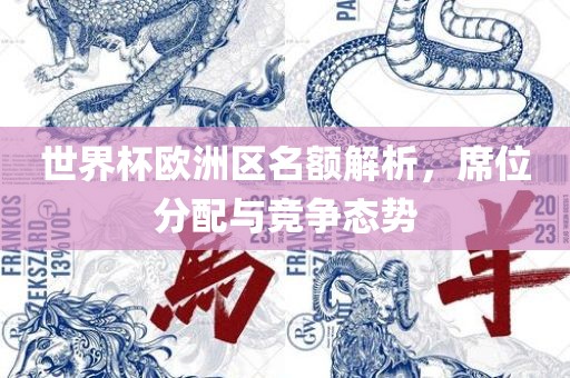 世界杯欧洲区名额解析，席位分配与竞争态势
