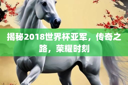 揭秘2018世界杯亚军，传奇之路，荣耀时刻