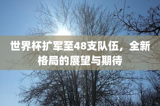 世界杯扩军至48支队伍，全新格局的展望与期待