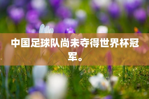 中国足球队尚未夺得世界杯冠军。