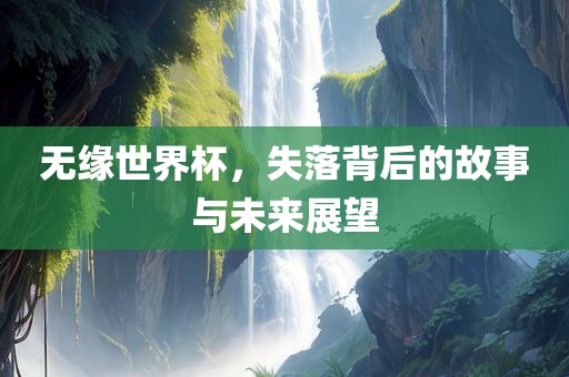 无缘世界杯，失落背后的故事与未来展望
