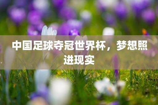 中国足球夺冠世界杯，梦想照进现实