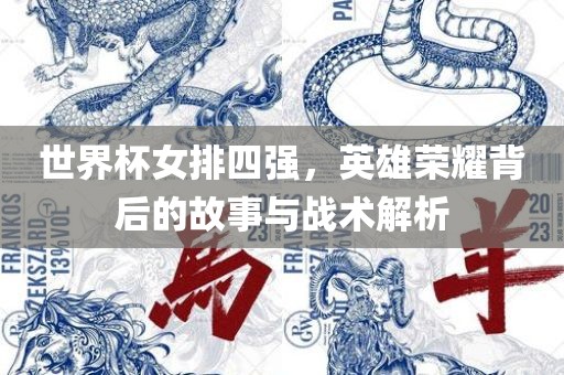 世界杯女排四强，英雄荣耀背后的故事与战术解析