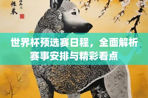 世界杯预选赛日程，全面解析赛事安排与精彩看点