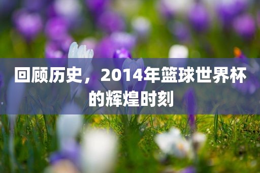 回顾历史，2014年篮球世界杯的辉煌时刻