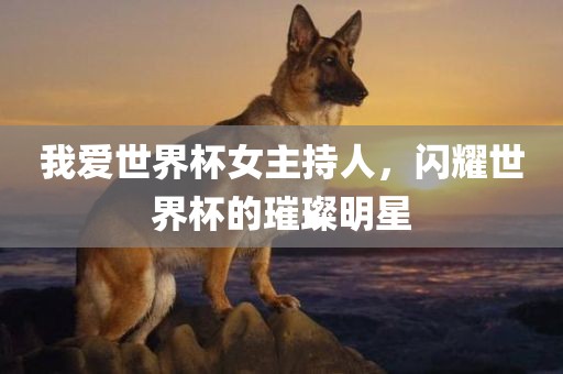 我爱世界杯女主持人，闪耀世界杯的璀璨明星