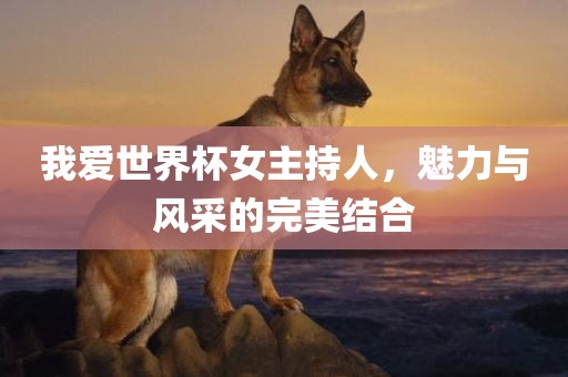 我爱世界杯女主持人，魅力与风采的完美结合漯河市盈旭机械设备有限公司