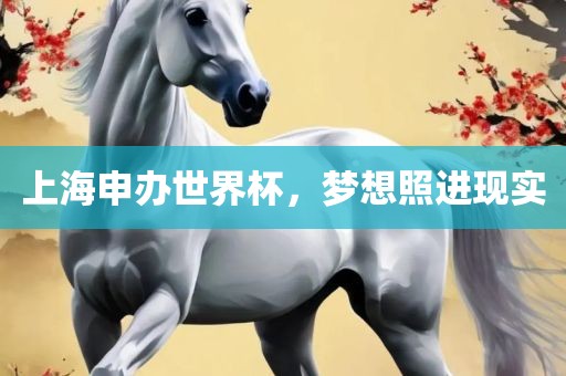 上海申办世界杯，梦想照进现实