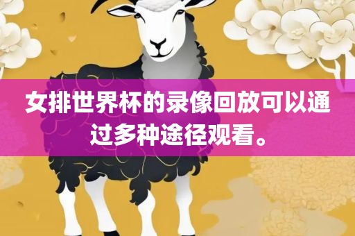 女排世界杯的录像回放可以通过多种途径观看。