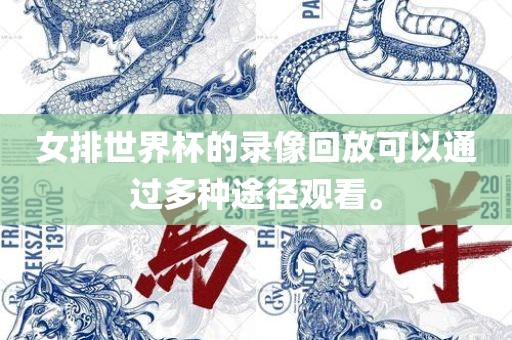 女排世界杯的录像回放可以通过多种途径观看。