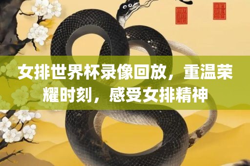 女排世界杯录像回放，重温荣耀时刻，感受女排精神漯河市盈旭机械设备有限公司