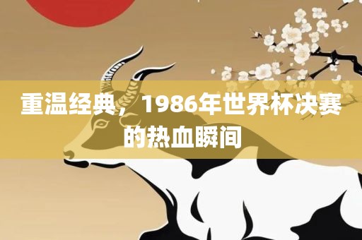 重温经典，1986年世界杯决赛的热血瞬间