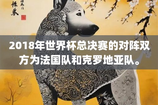 2018年世界杯总决赛的对阵双方为法国队和克罗地亚队。