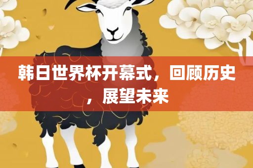 韩日世界杯开幕式，回顾历史，展望未来