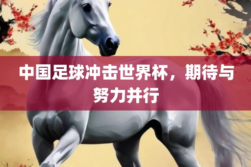 中国足球冲击世界杯，期待与努力并行漯河市盈旭机械设备有限公司