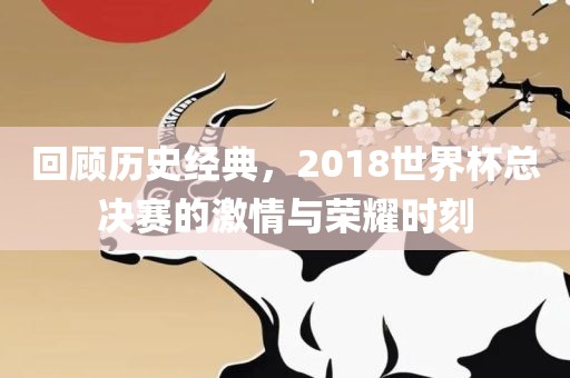 回顾历史经典，2018世界杯总决赛的激情与荣耀时刻