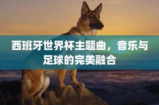 西班牙世界杯主题曲，音乐与足球的完美融合