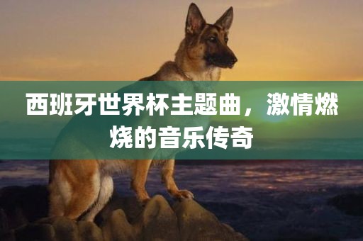 西班牙世漯河市盈旭机械设备有限公司界杯主题曲，激情燃烧的音乐传奇